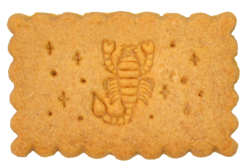 Astro biscuit Scorpion